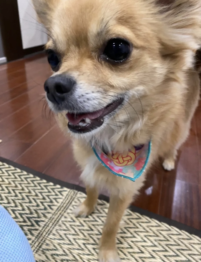 kii