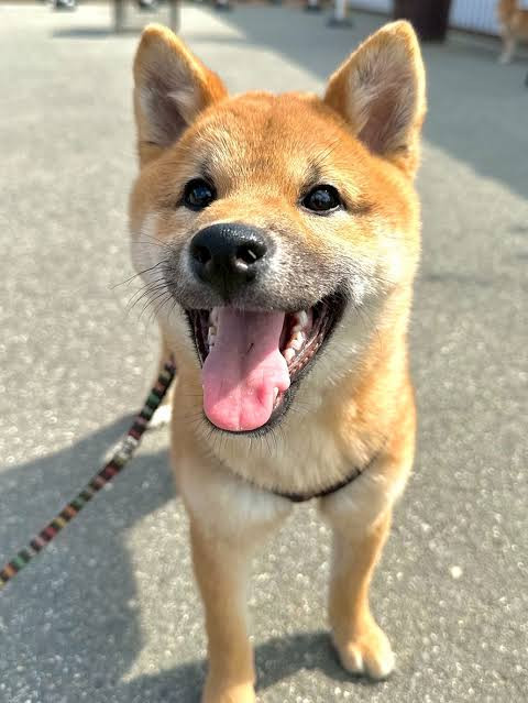 あ
