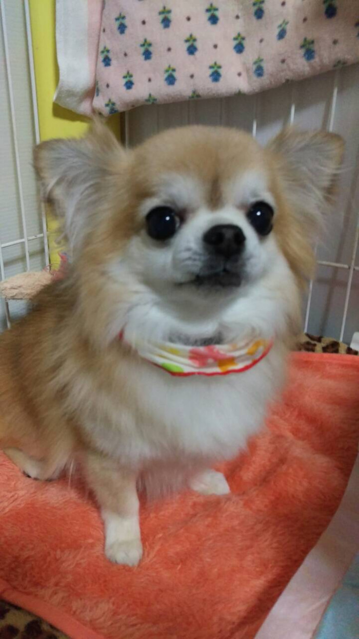 なわ
