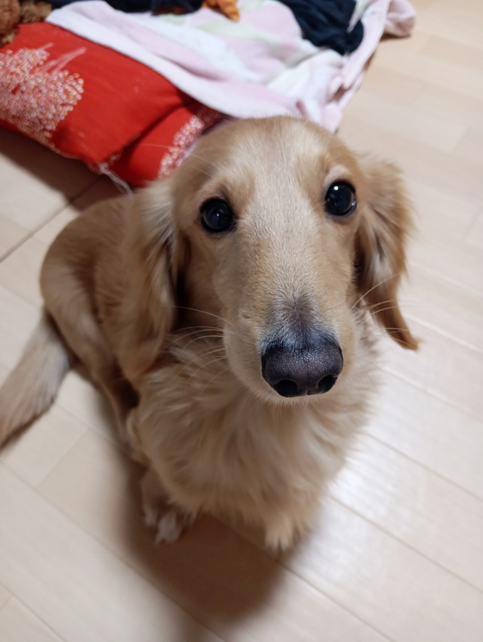 あやか