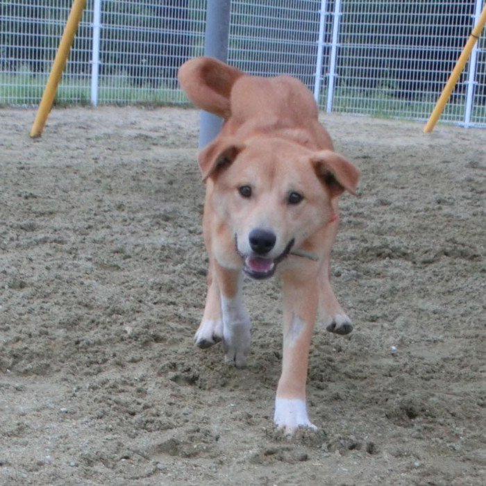 たくぱ