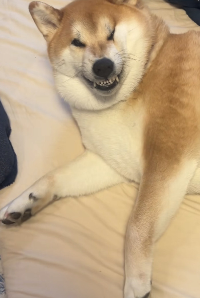 ゆうと