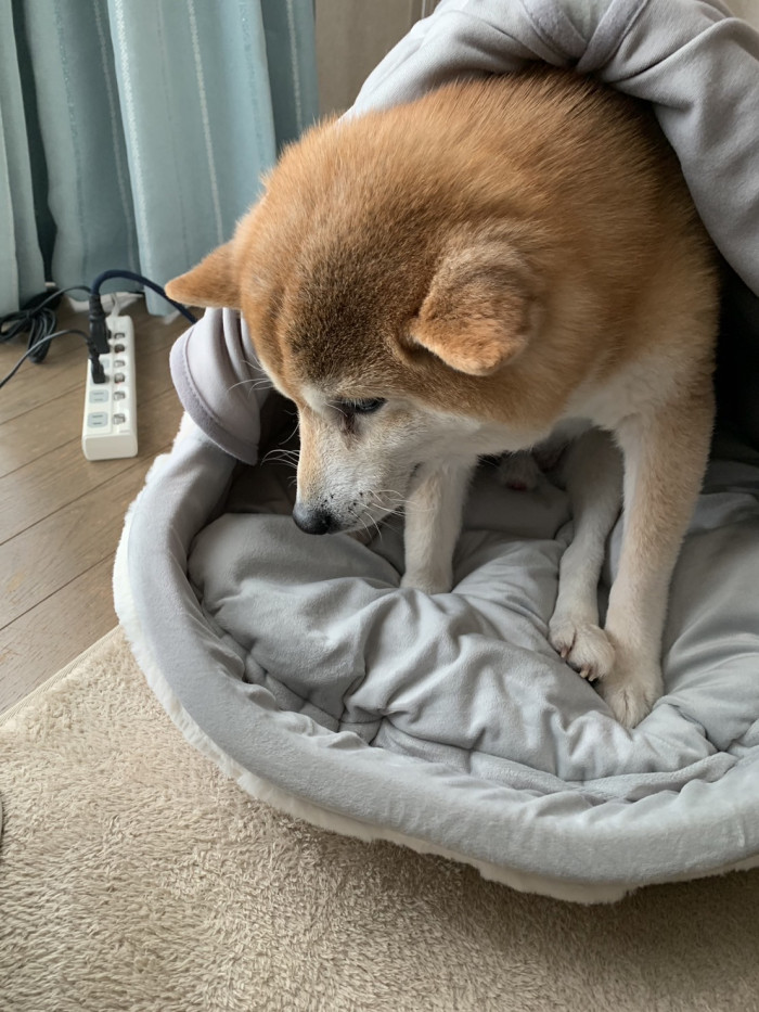 さんた
