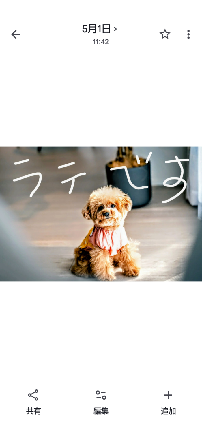 よっしー