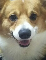 xun