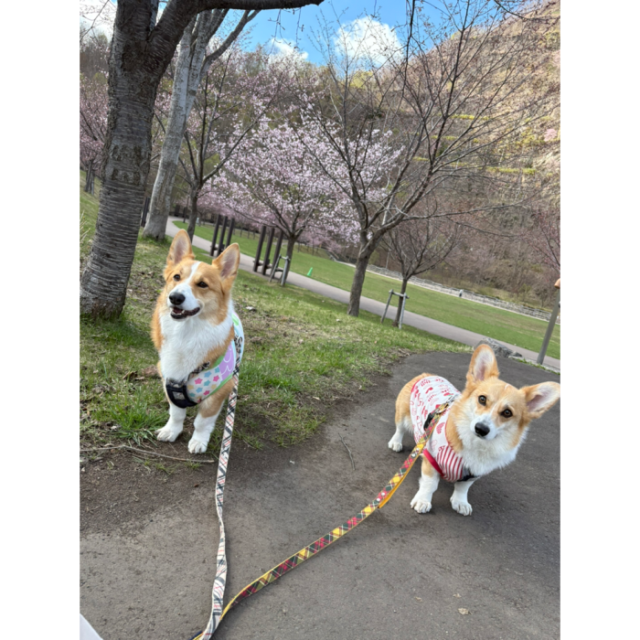 まる