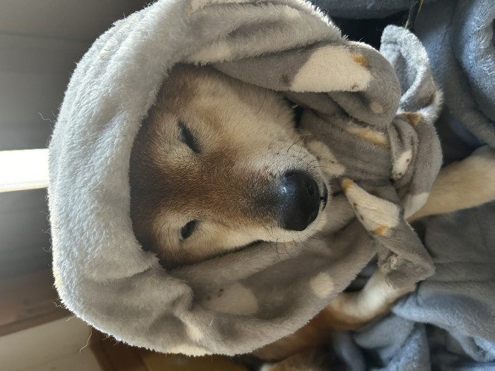 かなで