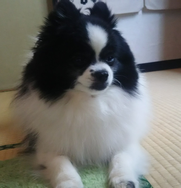 あんきも