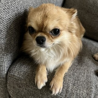 なあ