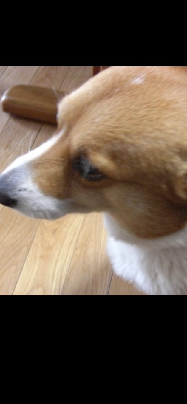 のえ