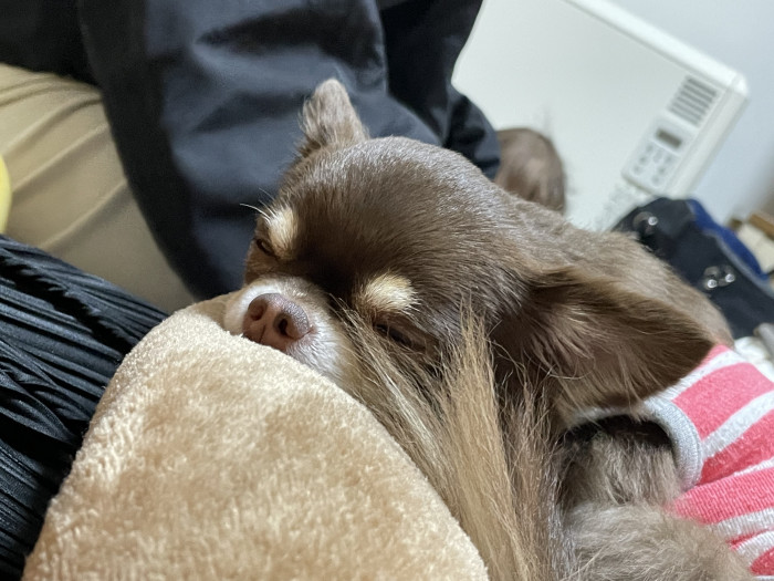 えむ