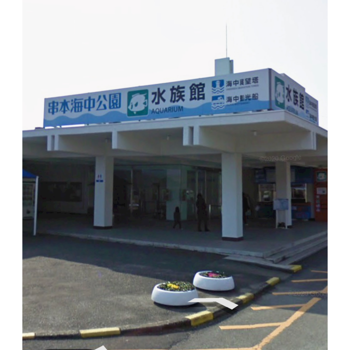 ぽい