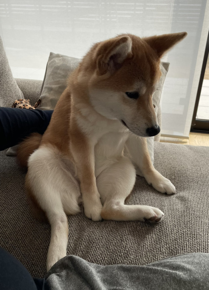 ぱるみ
