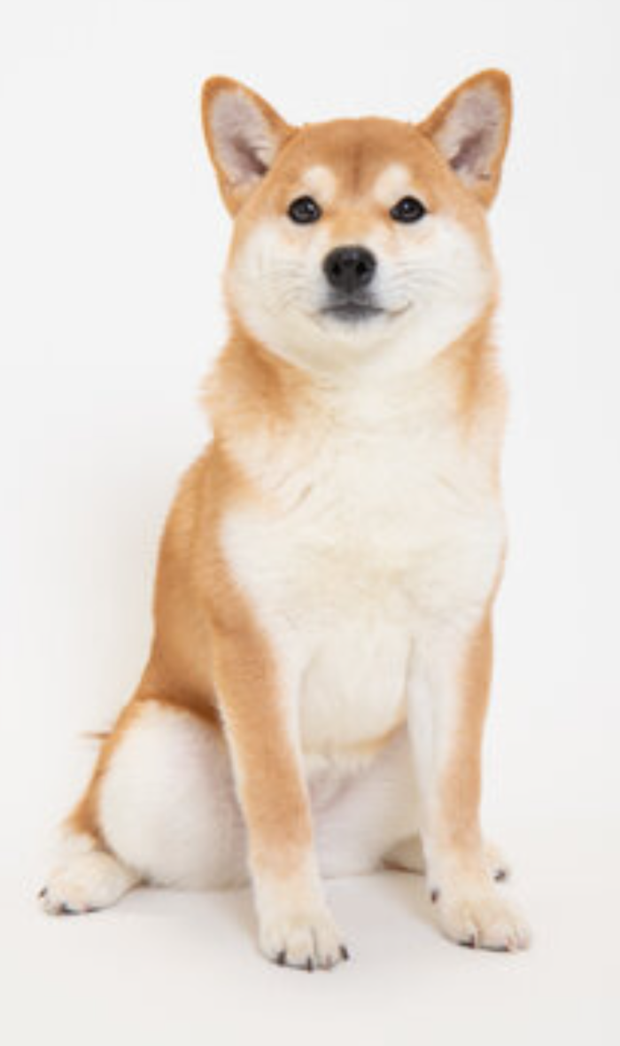 使者