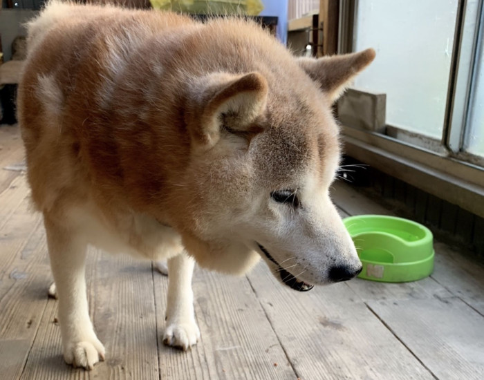 ゆぴぴ