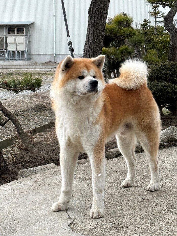 さと