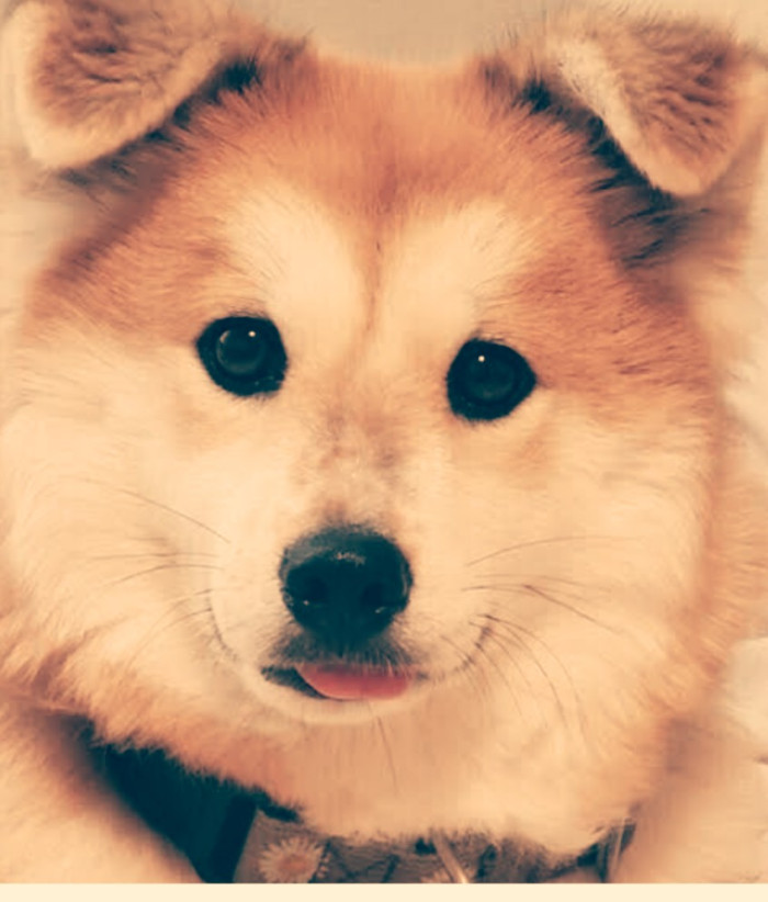 ポニョポニョ