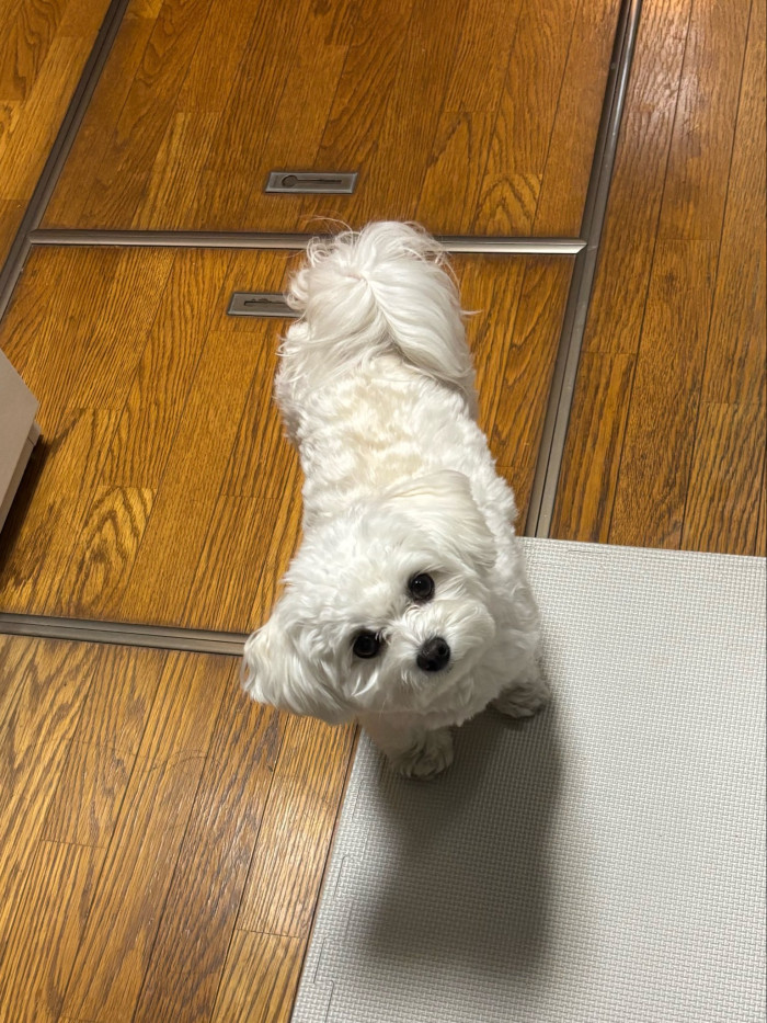 るん