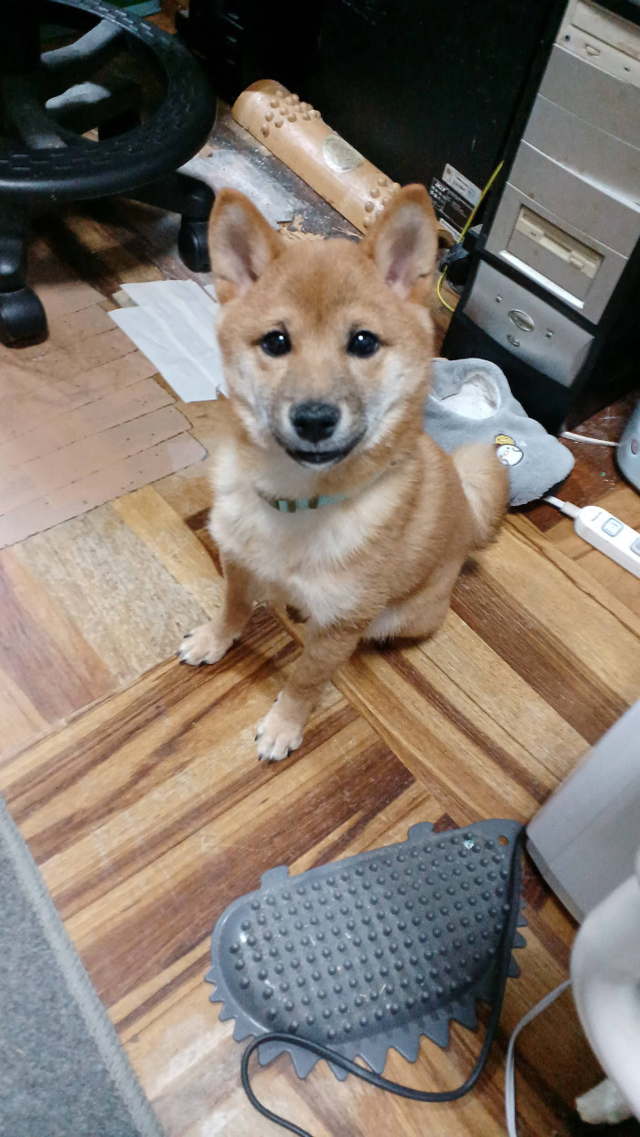 インカム