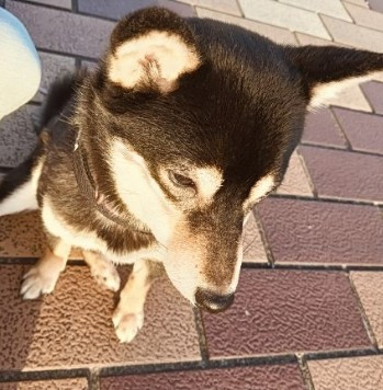 みなと