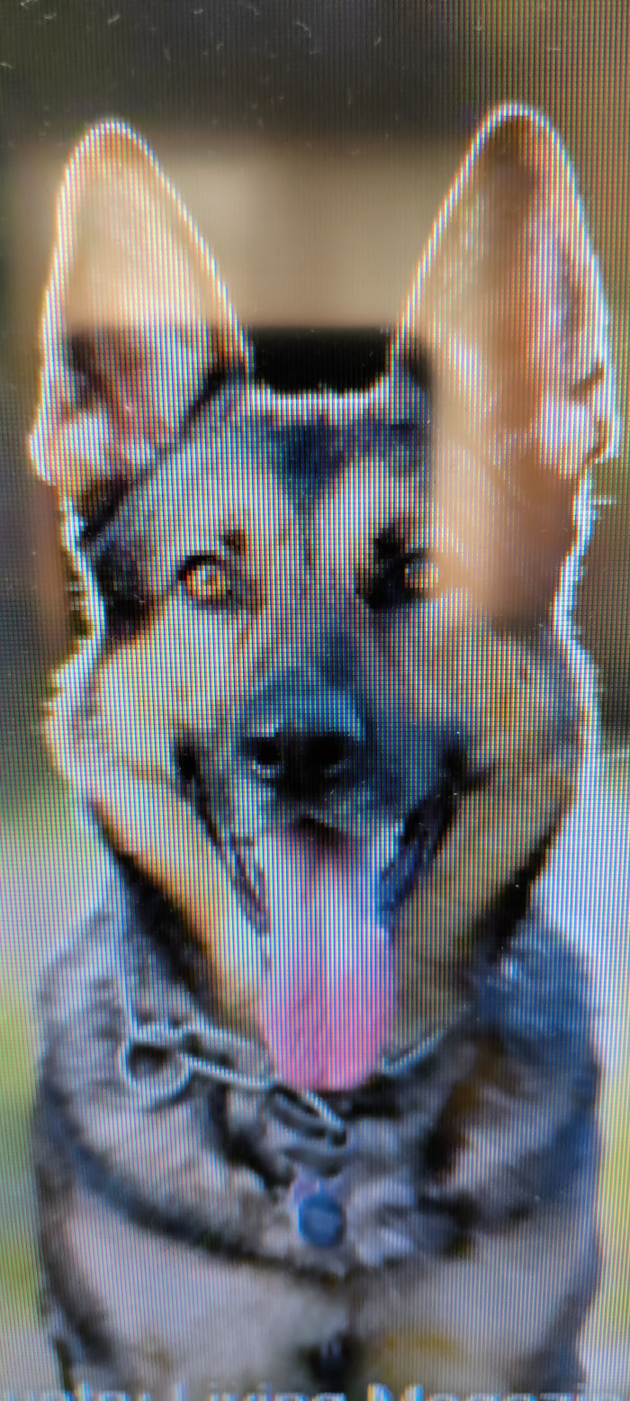 taka