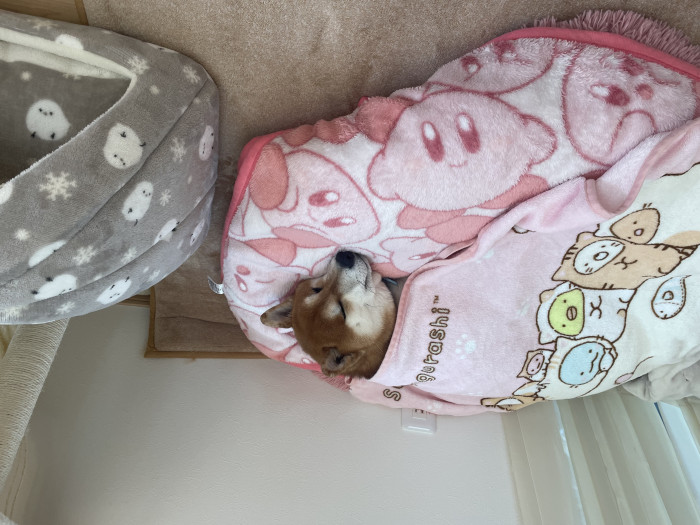 ふくのしん