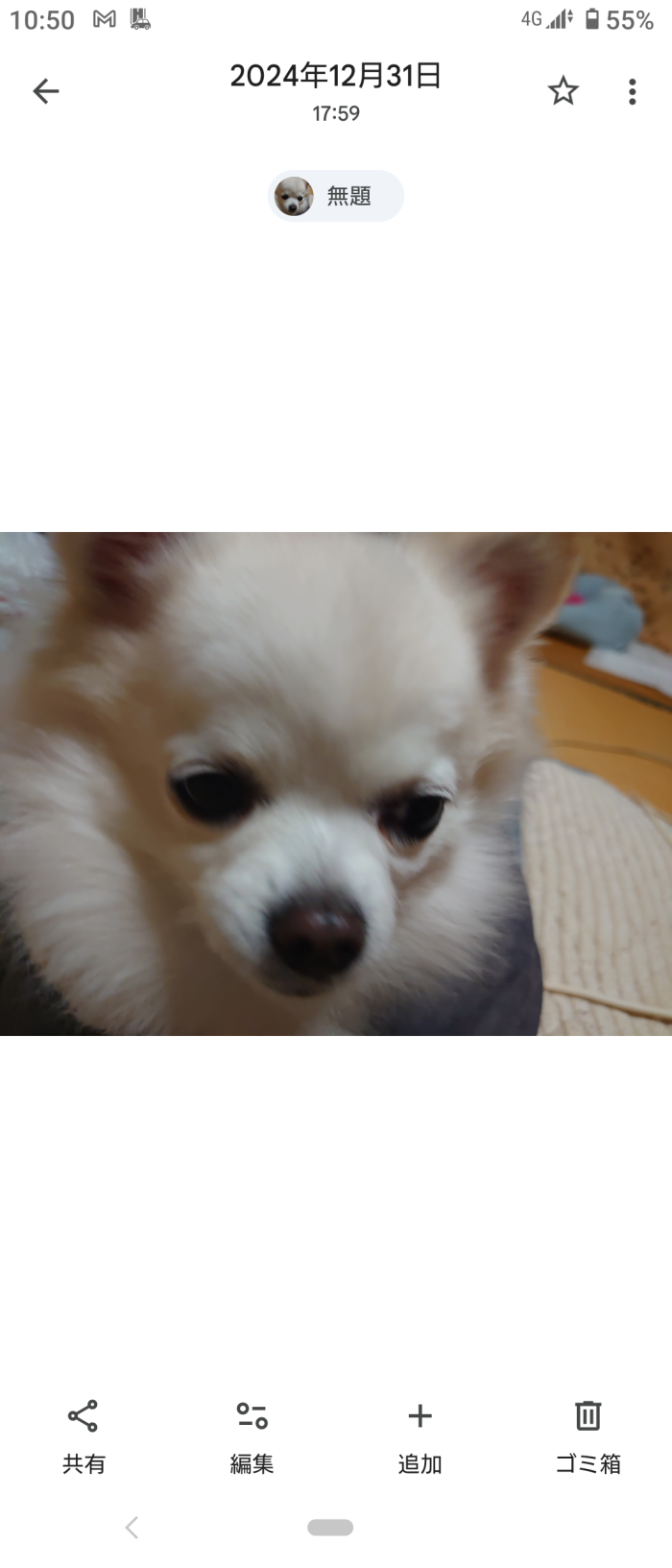 やまさ