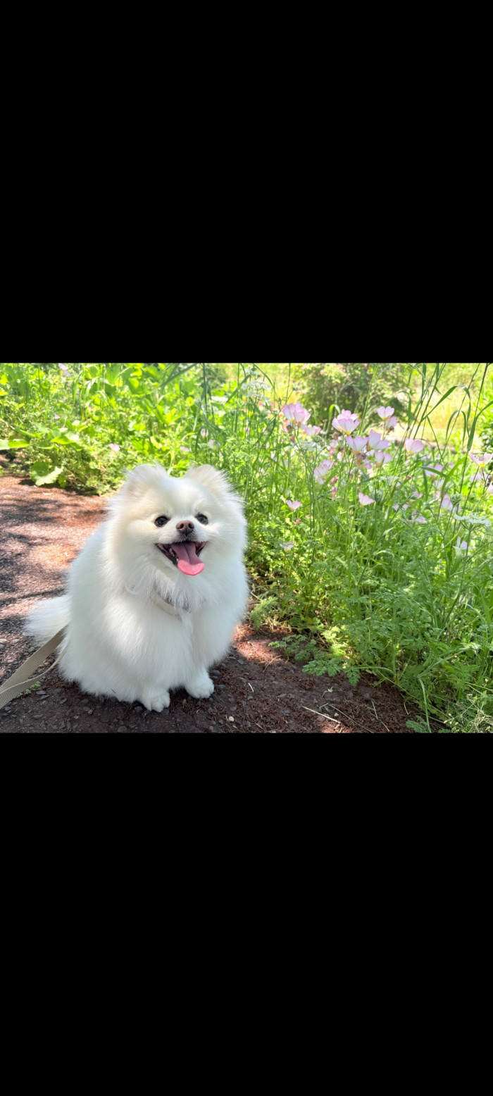 みー