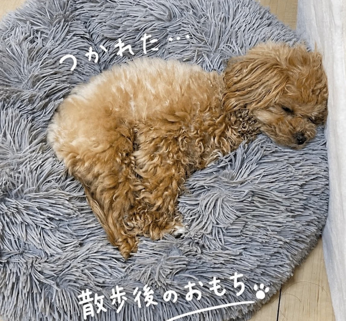 ねの