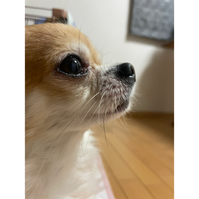 Kiko