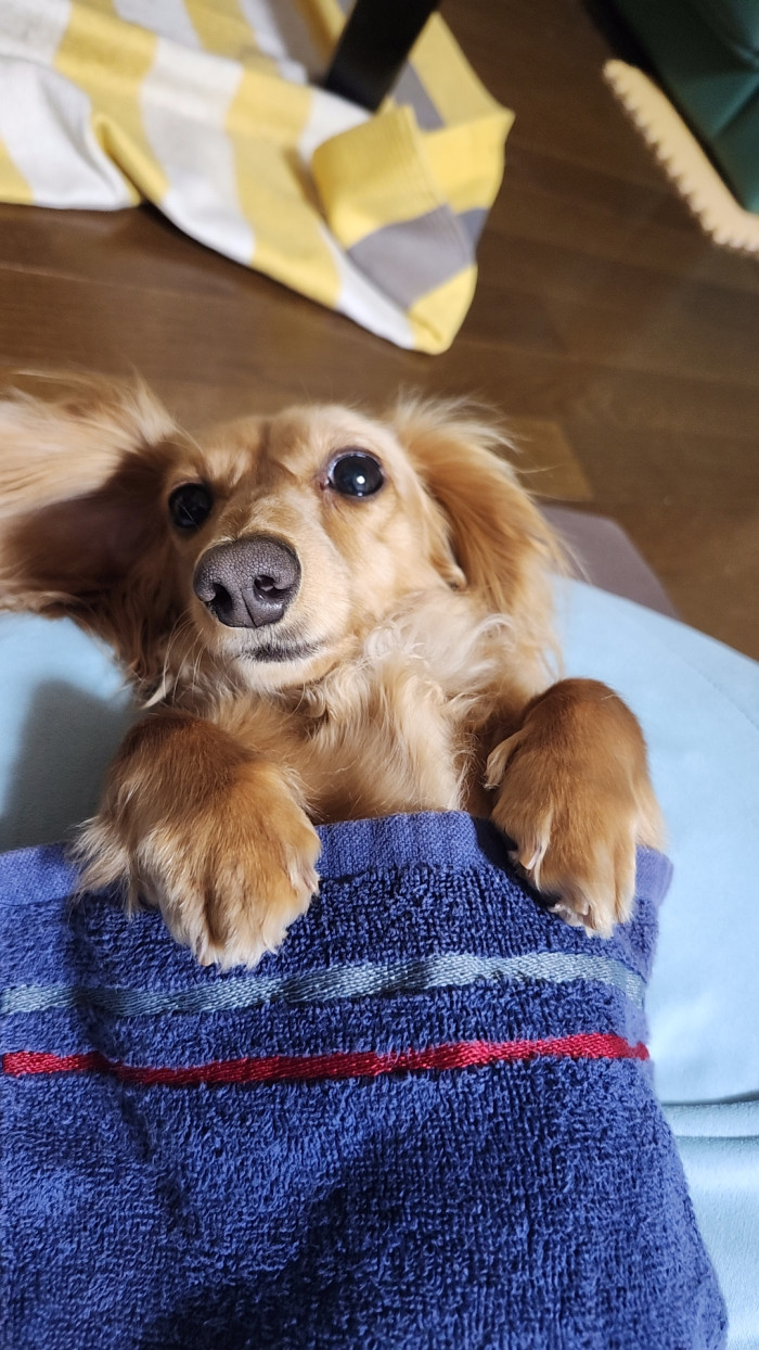 ひろさく