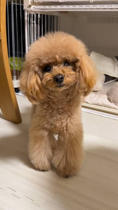 みらい
