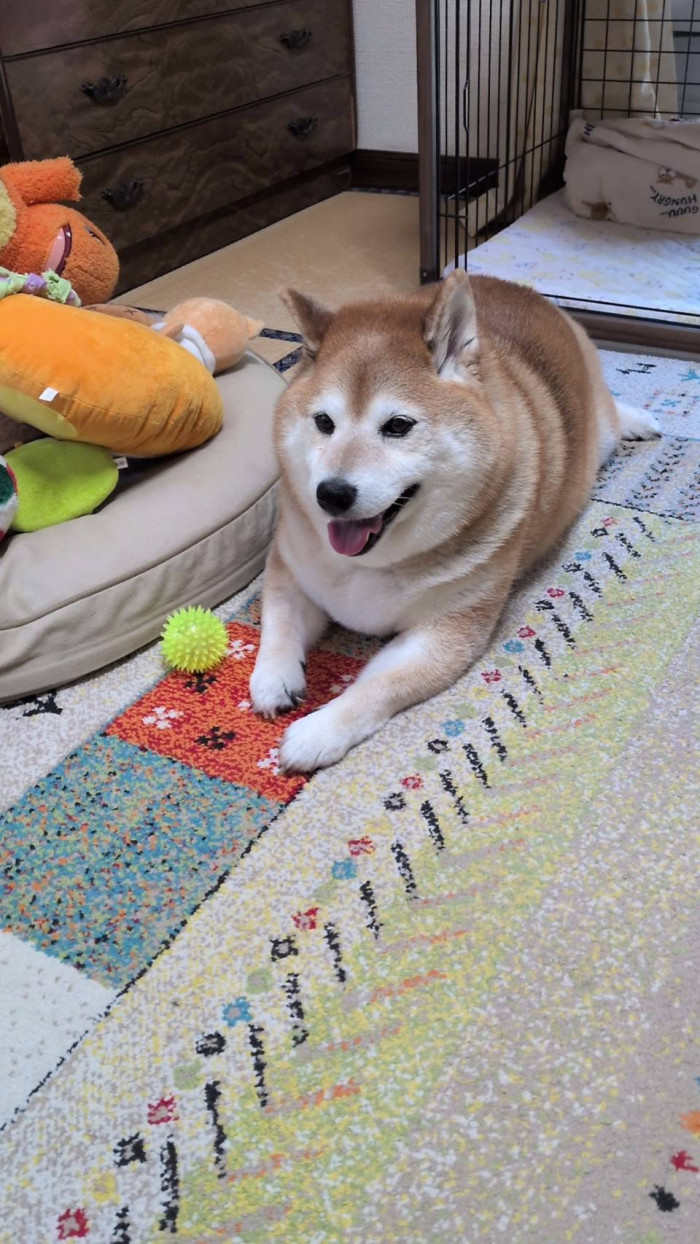 ねむ