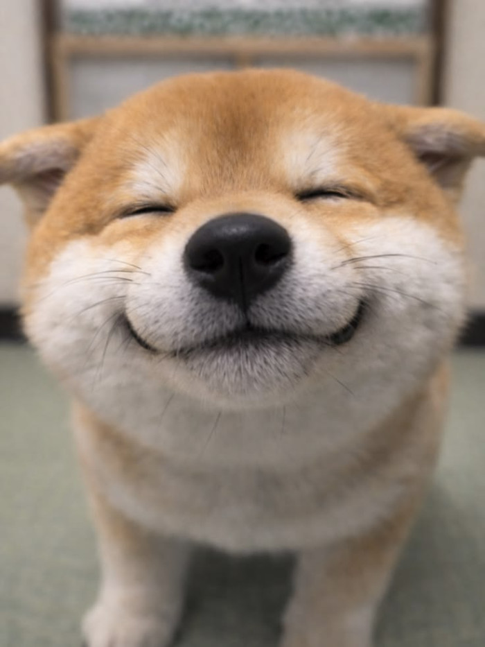 マカロン
