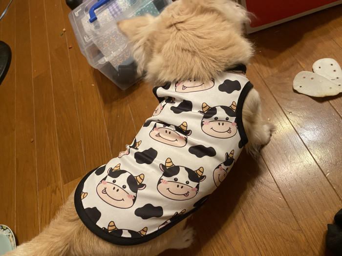 セーラ