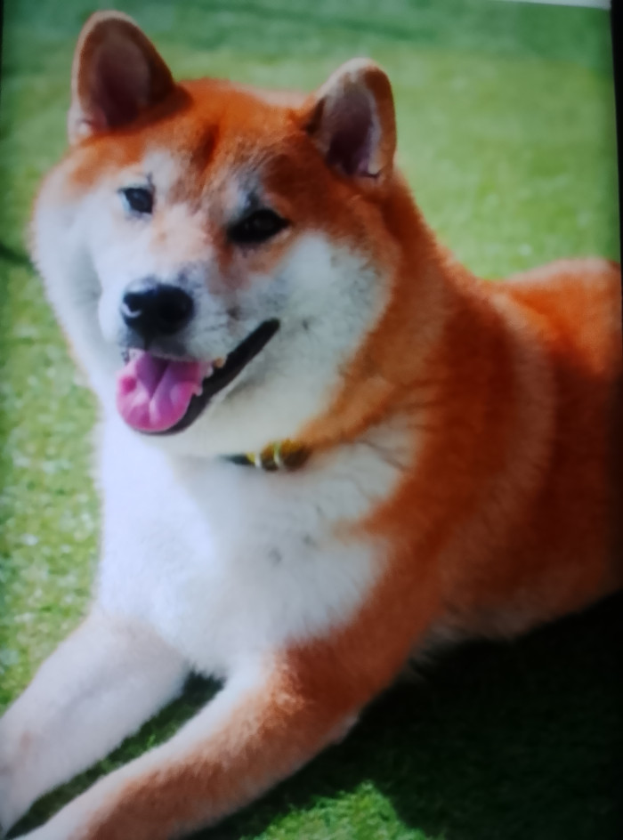 しんじ