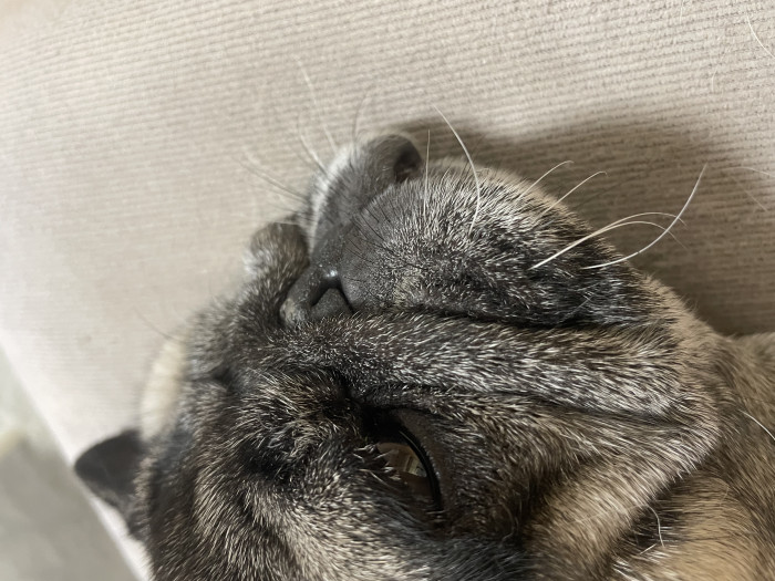 千