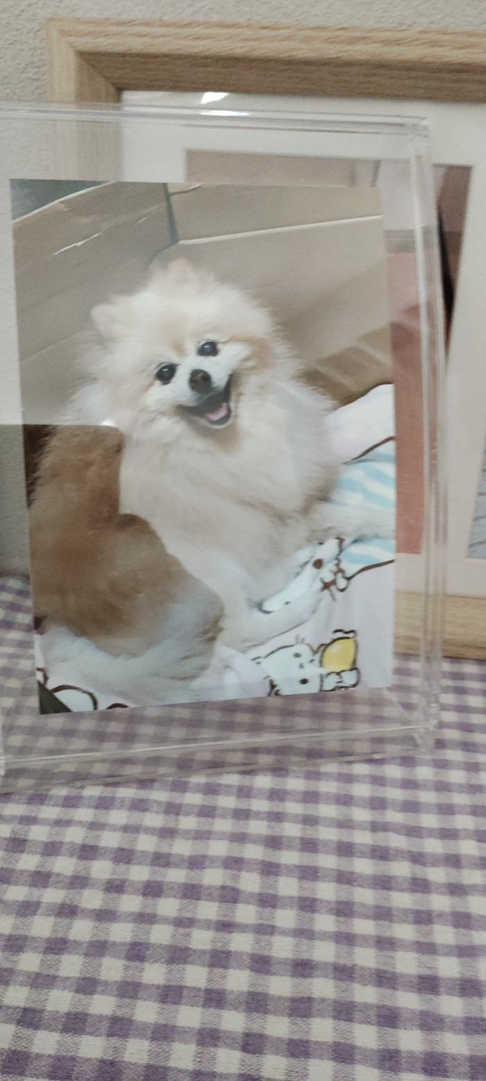 higashi