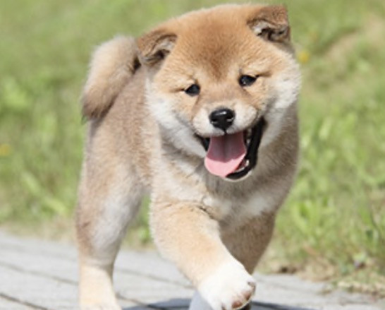 ひろ