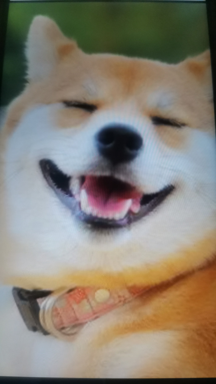 サカ