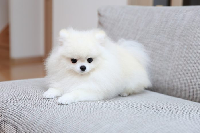 るる