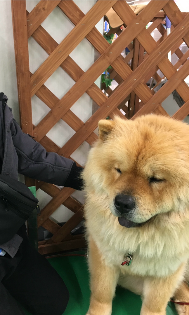 さな