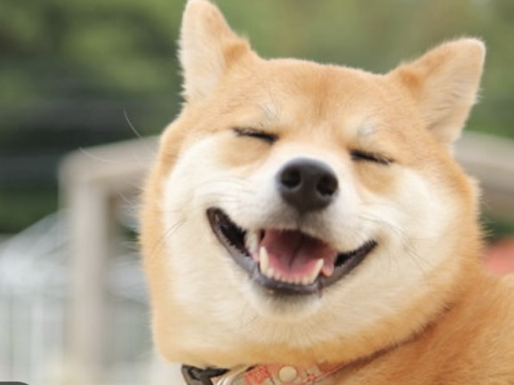 kyo