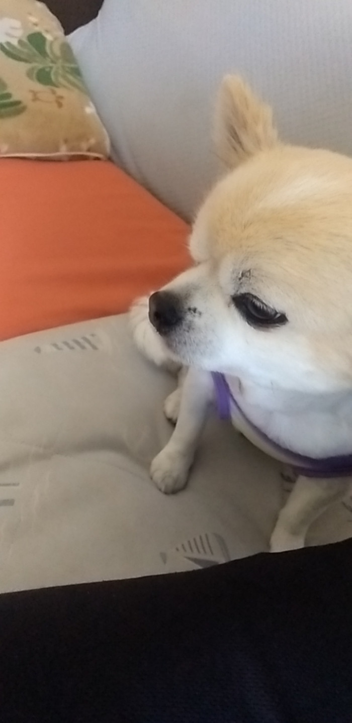 あっきー