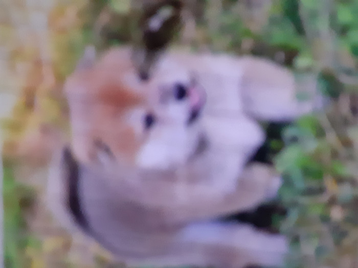 おくむん