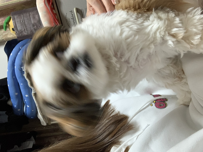 あーや