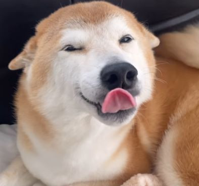 かな