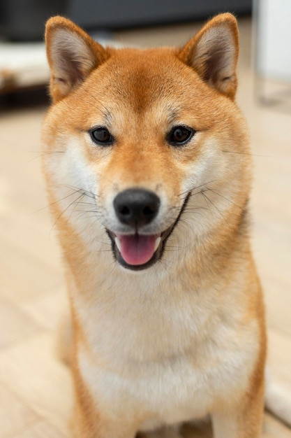 てんさま