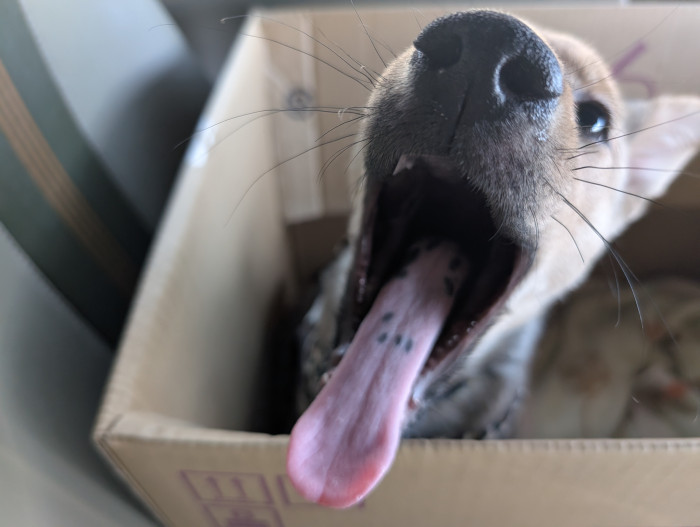 ちゃくら