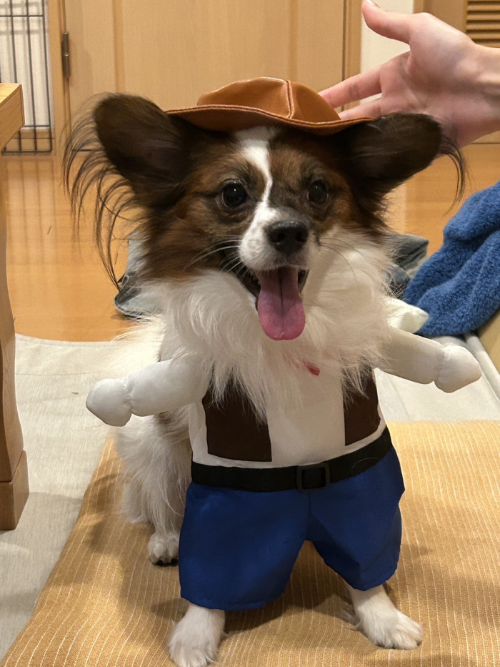 たか
